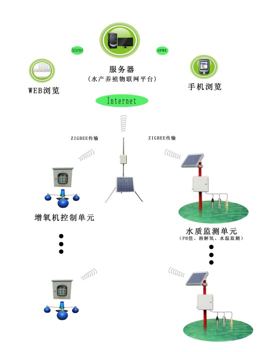 系统拓扑图