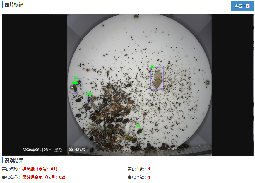 田间虫情自动监测系统