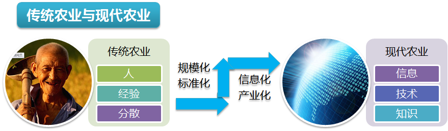 智能农业物联网监控系统