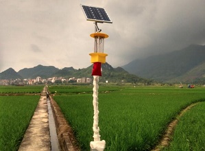 太阳能杀虫灯